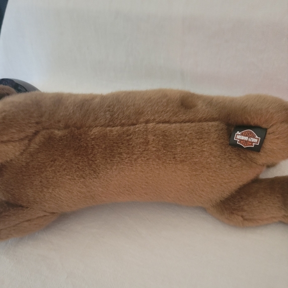 Harley Davidson Dachshund Dog with Helmet - Picture 6 of 6